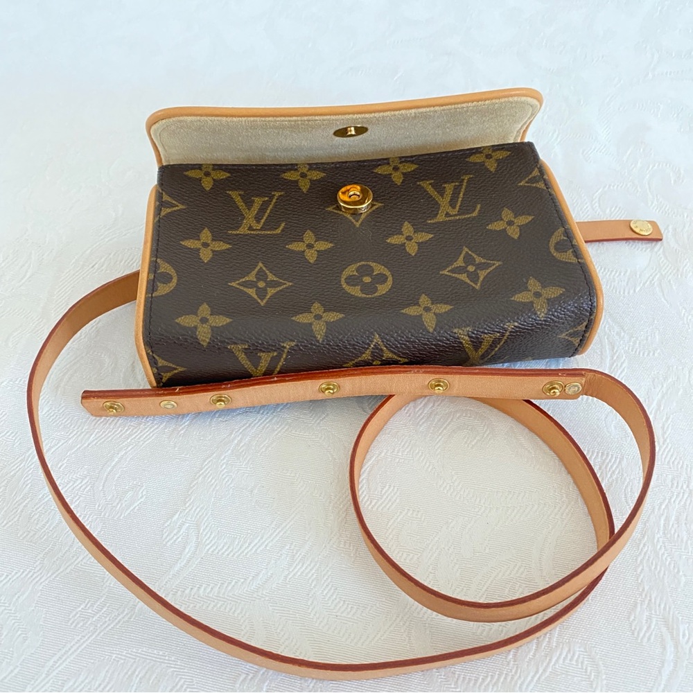 Louis Vuitton Pochette Florentine Belt Bag - Picture 11 of 16
